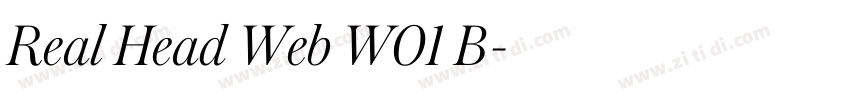 Real Head Web W01 B字体转换